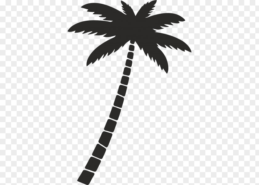 Silhouette Arecaceae PNG