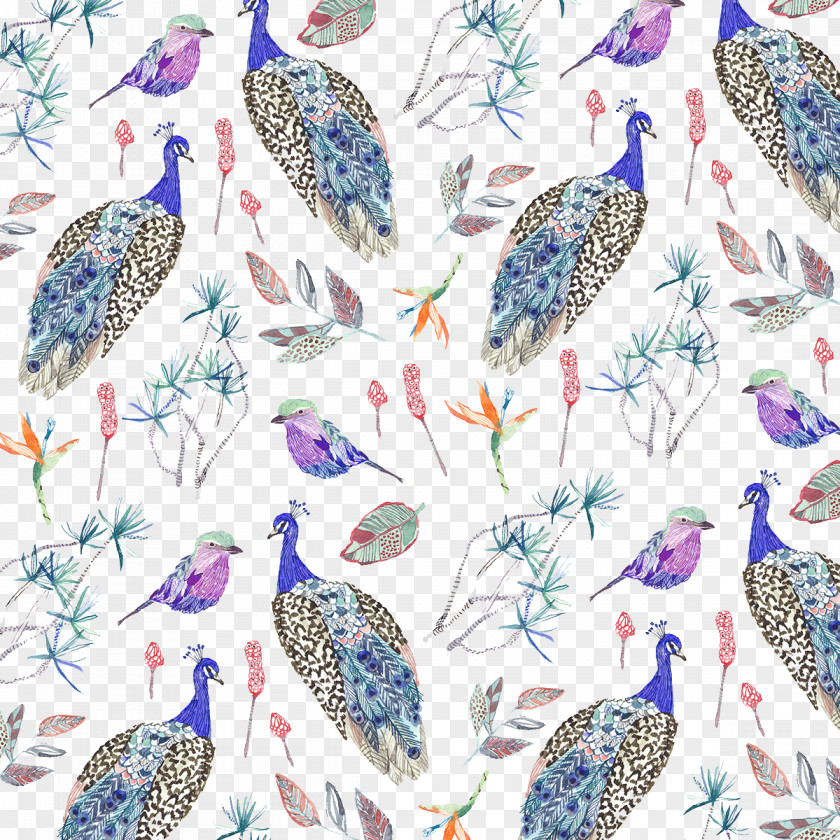 Flower And Bird Designs Painted Peacock Illustrator Pattern PNG