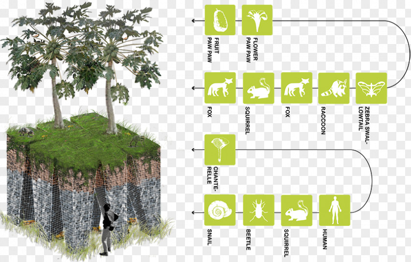 Natural Environment Anthropocene Architecture Ecology Quaternary PNG
