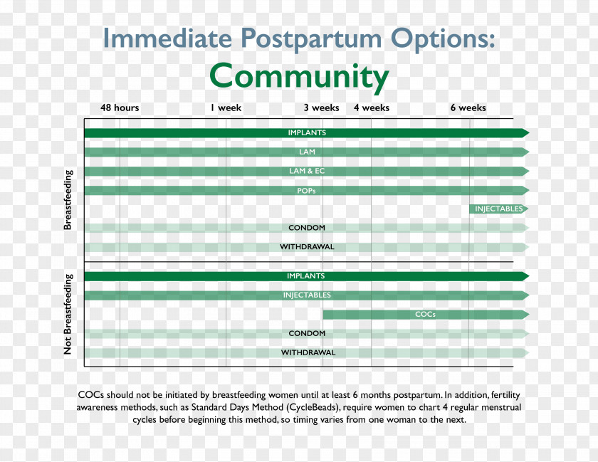Postpartum Period Web Page Organization Computer Program Line PNG