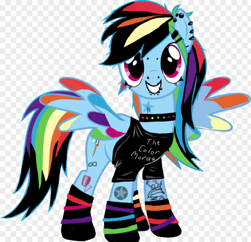 Rainbow Pony Dash Twilight Sparkle Fluttershy PNG