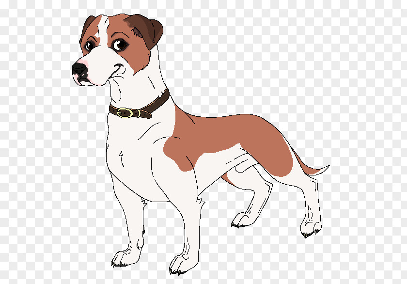 Witness Of Love English Foxhound Harrier American Canidae Dog Breed PNG