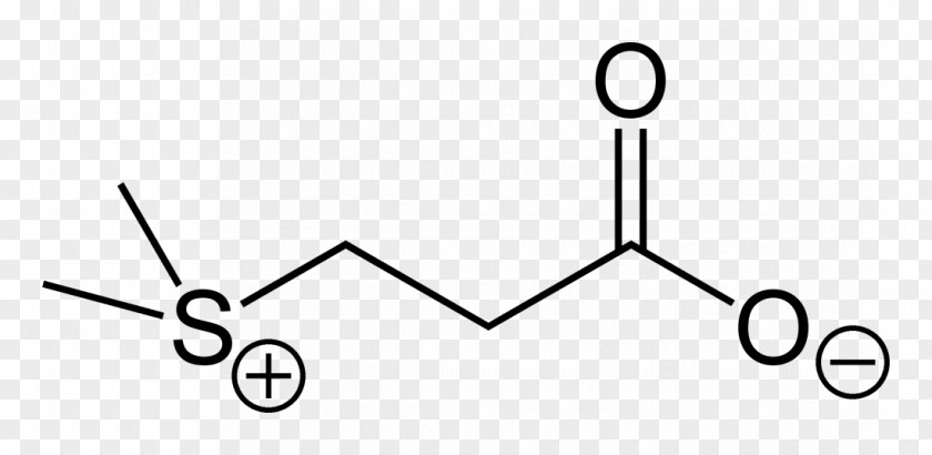 Amino Acid Peroxyacetyl Nitrate Peroxyacyl Nitrates PNG