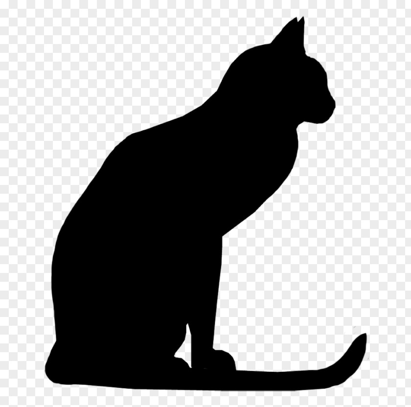 Cat Drawing Silhouette Clip Art Vector Graphics PNG