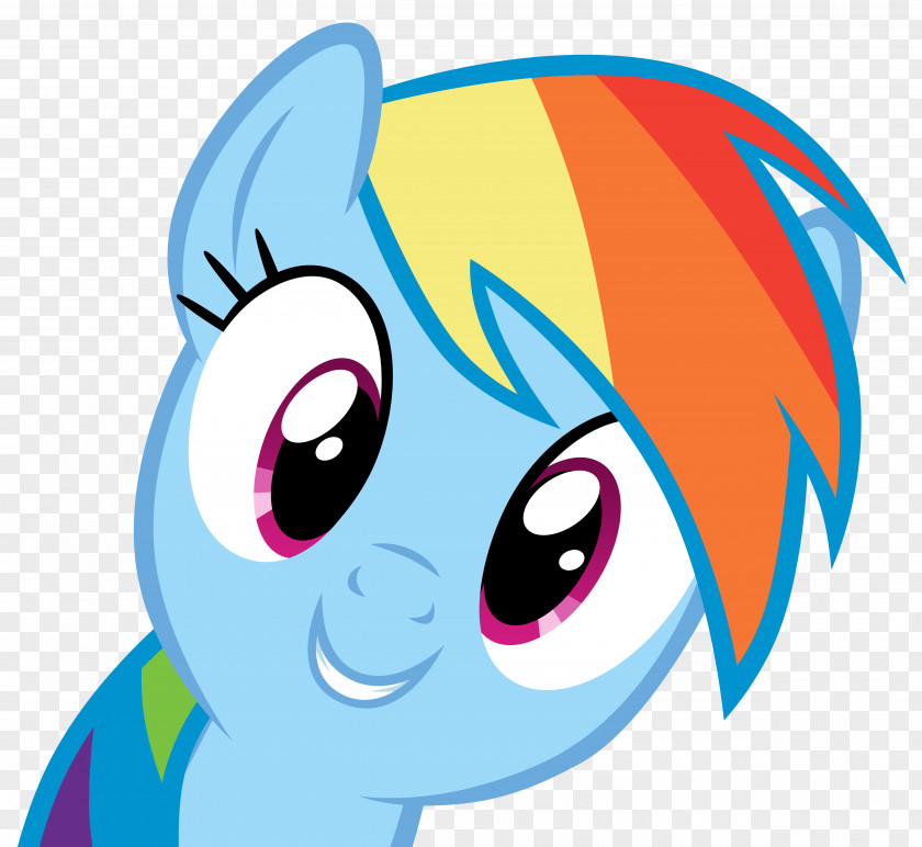 Dash Rainbow Pony Pinkie Pie Twilight Sparkle Rarity PNG
