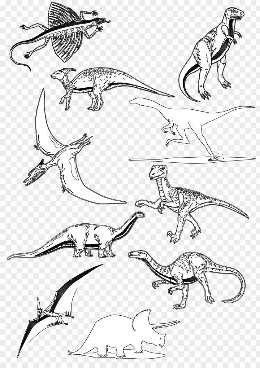 Dinosaur Border Sketch Line Art Clip Illustration Drawing PNG