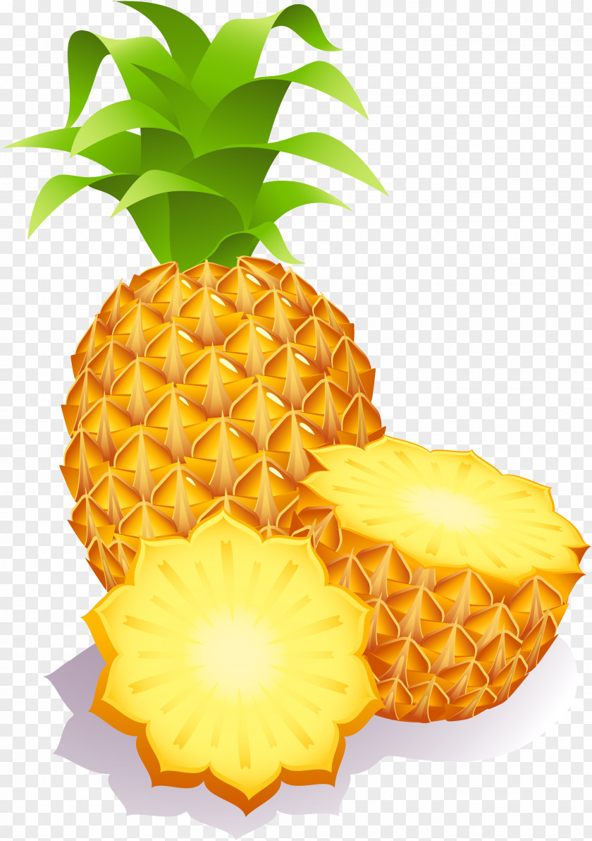 Pineapple Clip Art PNG