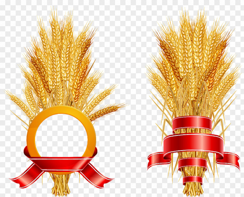 Rice Common Wheat Logo Ear PNG