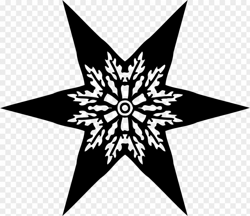 Silhouette Star Black And White Clip Art PNG