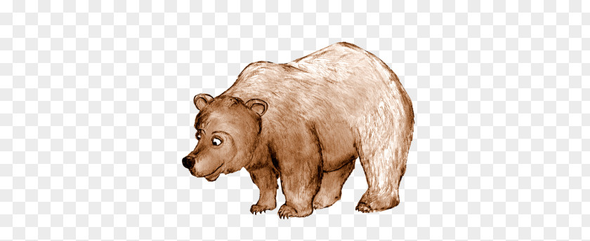 Bear Grizzly Brown Bears Drawing PNG