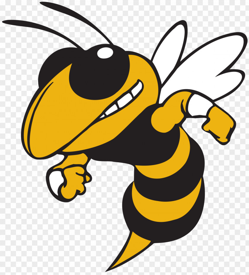 Bee Georgia Institute Of Technology Tech Yellow Jackets Football Men's Basketball Buzz Yellowjacket PNG