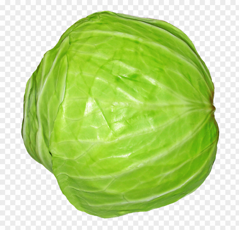 Cabbage Spring Greens Red Vegetable PNG