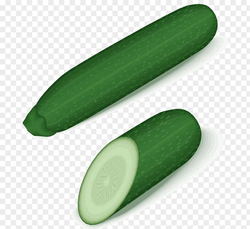 Cucumber Clip Art Zucchini Openclipart Field Pumpkin PNG