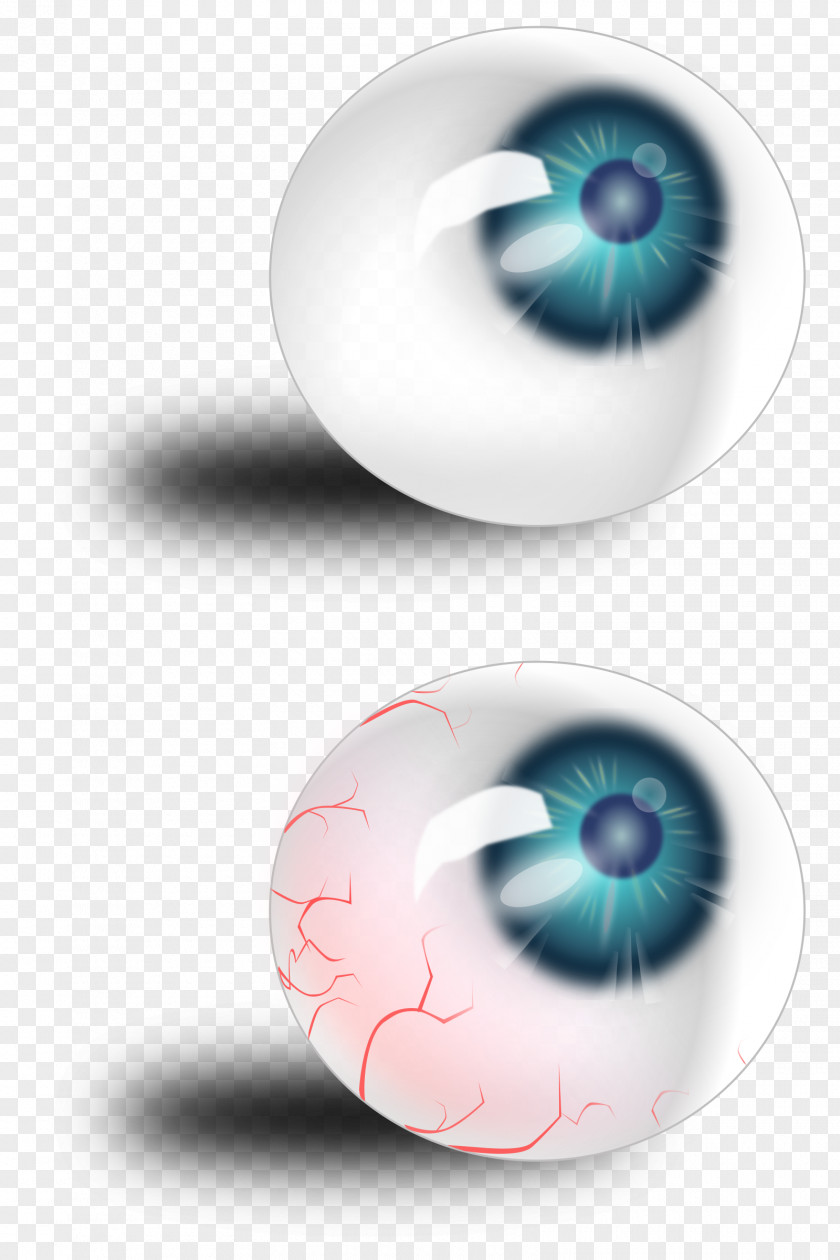 Eye Iris Human Blood Clip Art PNG