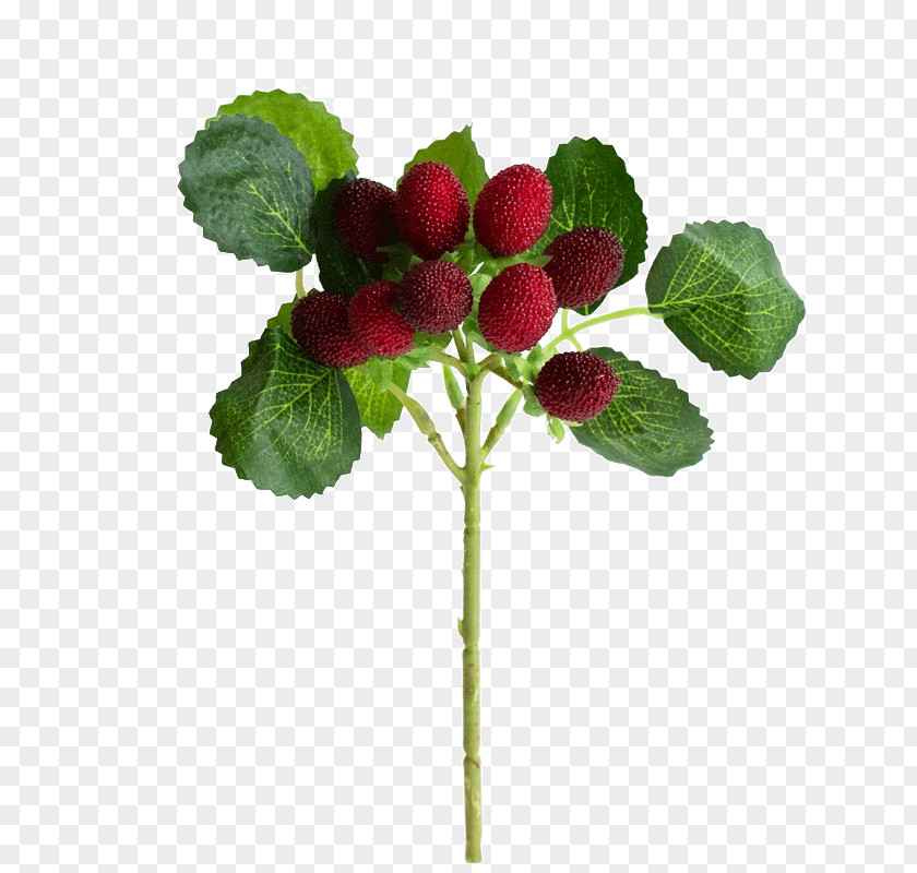 High Imitation Plant Simulation Fruit Tree Branches Strawberry Red Raspberry PNG