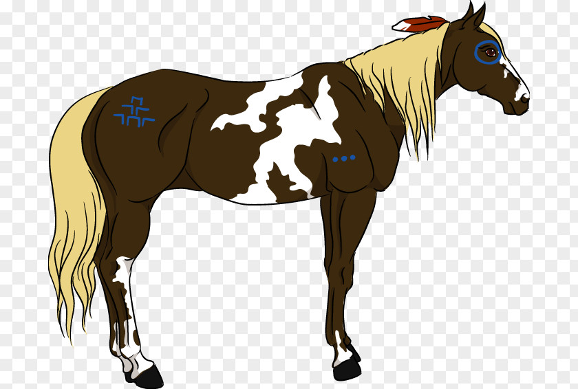 Painted Horse Mane Mustang American Paint Foal Stallion PNG