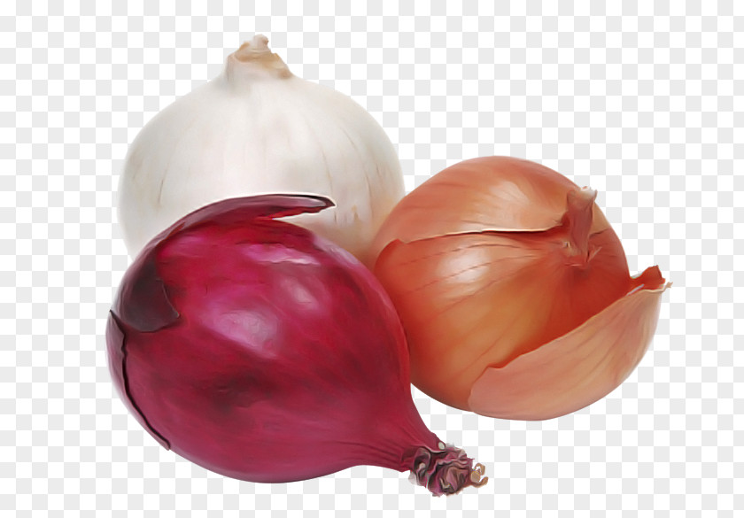 Pearl Onion Allium Vegetable Shallot Red Yellow PNG