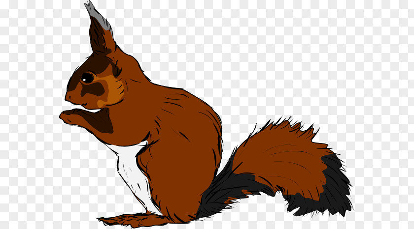 Squirrel Images Free Drawing Clip Art PNG
