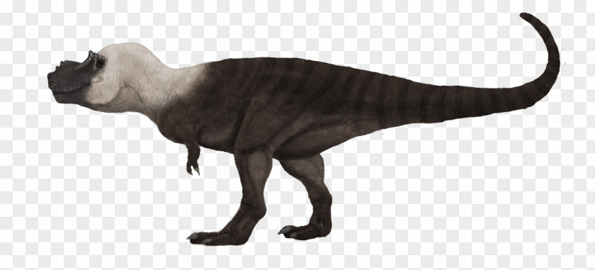 Tyrannosaurus Velociraptor Extinction Animal Wildlife PNG