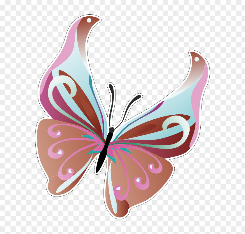 Butterfly Insect PNG