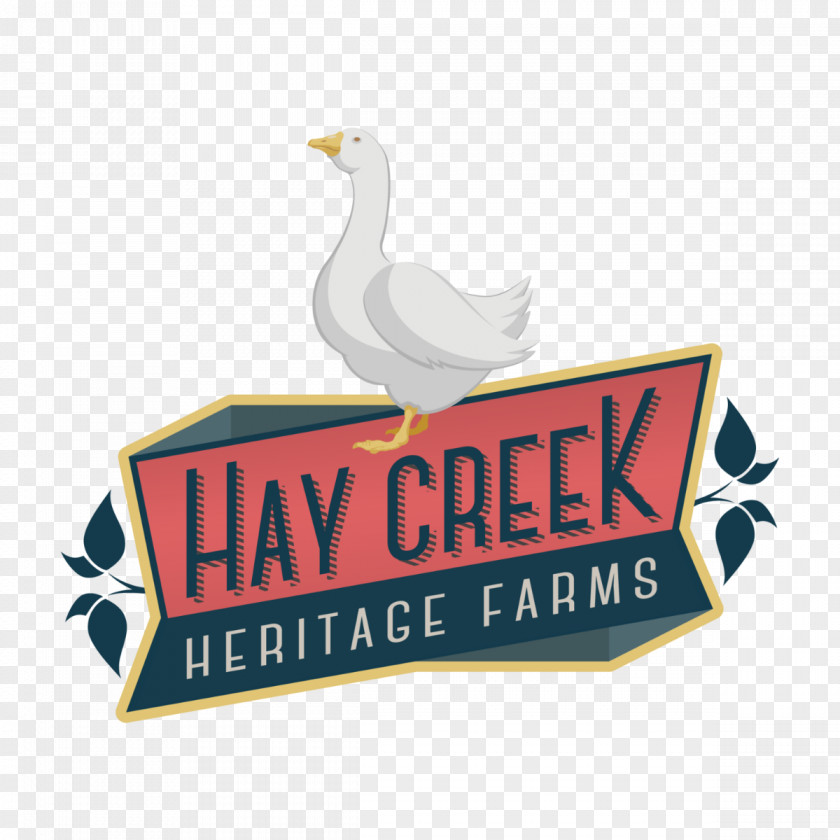 Chicken Cotton Patch Goose Hay Creek Heritage Farms Cayuga Duck PNG