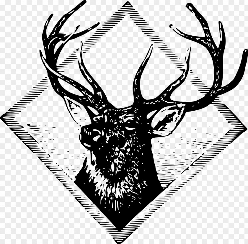 Deer Red T-shirt Elk Clip Art PNG