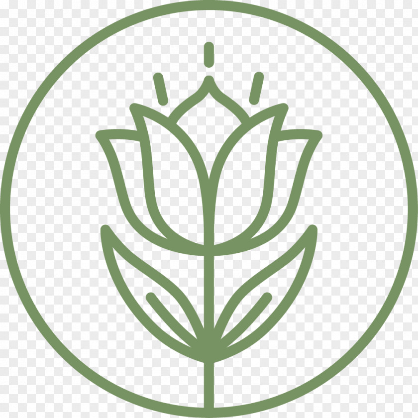 Flower Symbol Leaf PNG