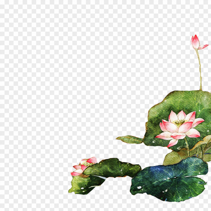 Hand-painted Lotus Download Green PNG