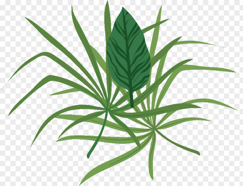 Leaf Food Hemp Plants Herb PNG