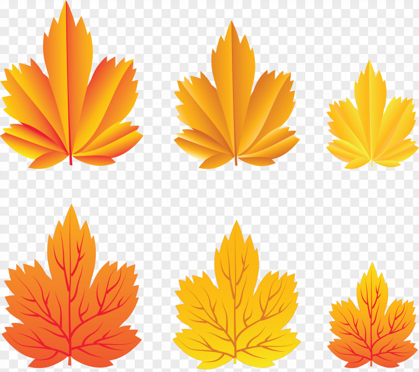 Maple Leaf Autumn Leaves Clip Art PNG