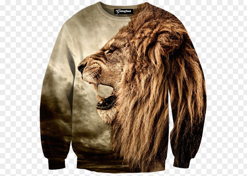 Roar T-shirt Hoodie Clothing Sweater PNG