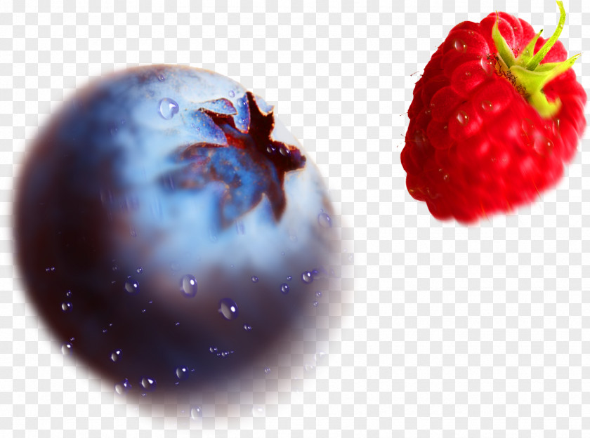 Blueberry Fruit Juice Strawberry Cranberry PNG