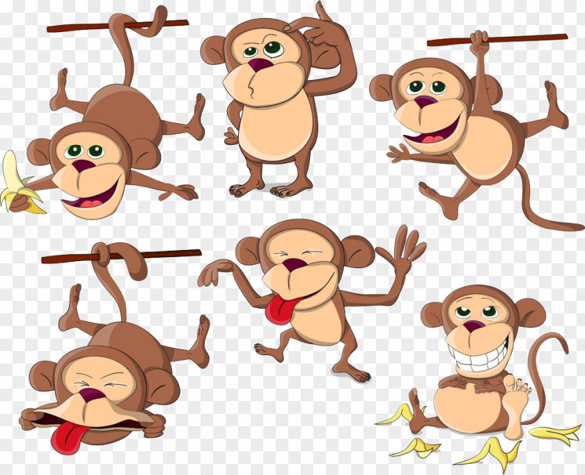 Cute Little Monkey Collection Orangutan Gorilla PNG