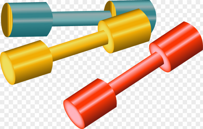 Dumbbell Physical Fitness Exercise Equipment PNG