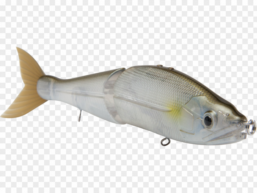 Fishing Plug Northern Pike Milkfish Baits & Lures Swimbait PNG