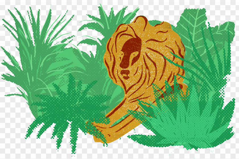Jungle Lions Head PNG