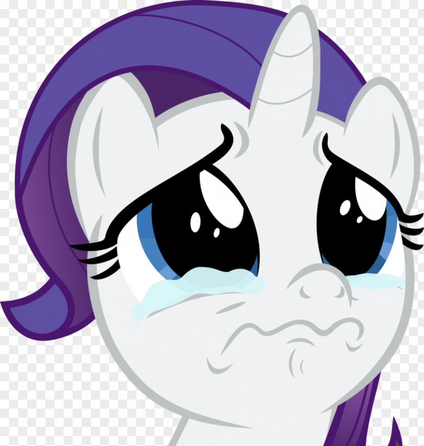 Rarity Smile Derpy Hooves Twilight Sparkle Pinkie Pie Applejack PNG