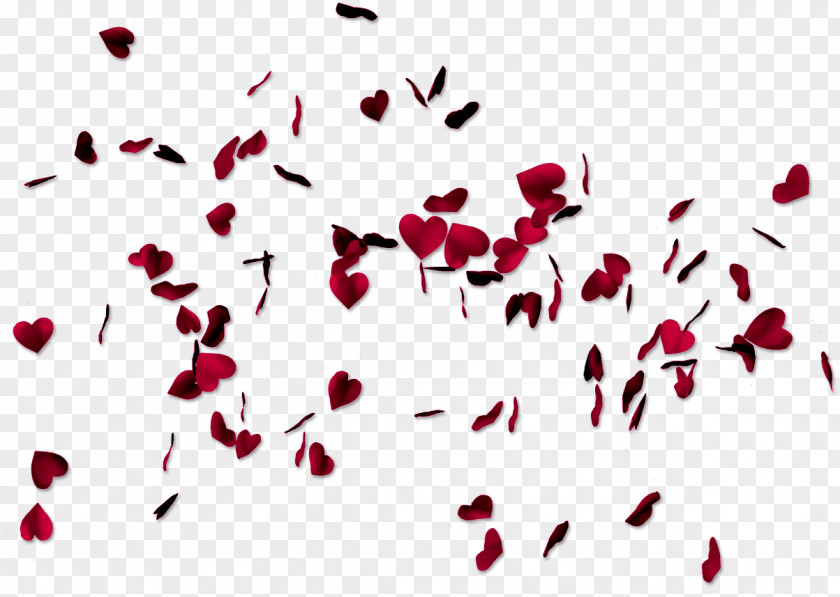 Rose Petals Drift Heart Desktop Wallpaper PNG