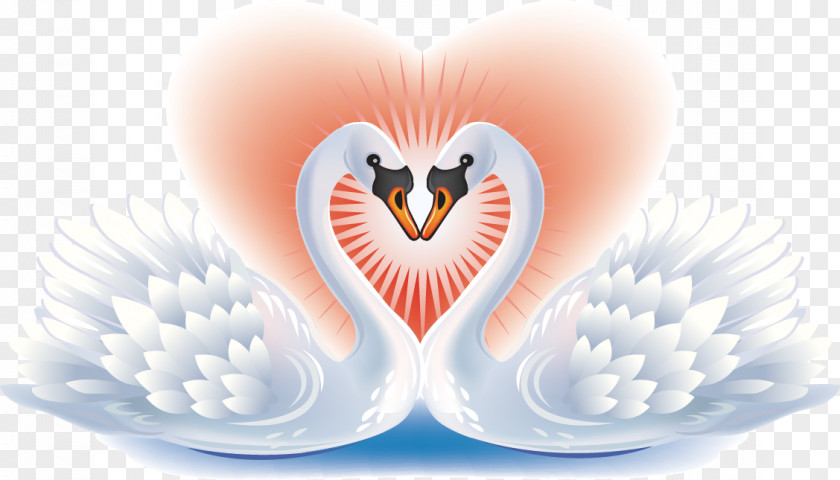 Swan Pattern Black Bird Heart Clip Art PNG