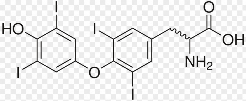 Thyroidstimulating Hormone Reverse Triiodothyronine Diethyl Ether Ethyl Group Chemical Compound PNG