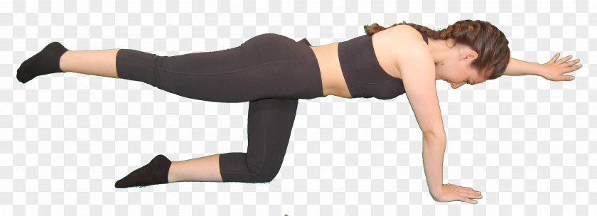 Arm Pilates Shoulder Core Stability Exercise PNG
