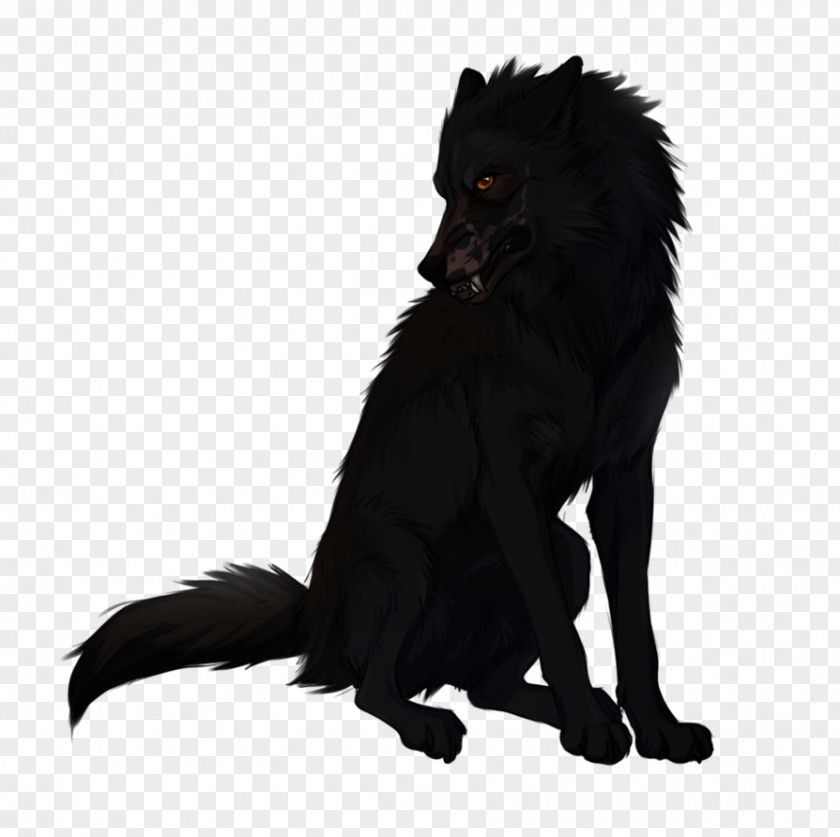 Dog Drawing Black Wolf Canidae PNG