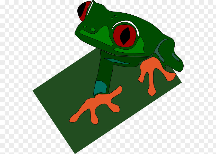 Frogimages Red-eyed Tree Frog Clip Art PNG