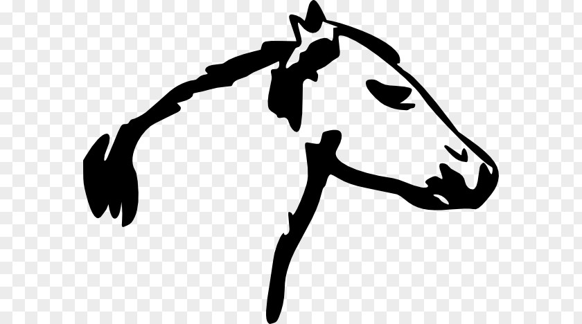 Horse Head Vector Mustang Watermark Clip Art PNG