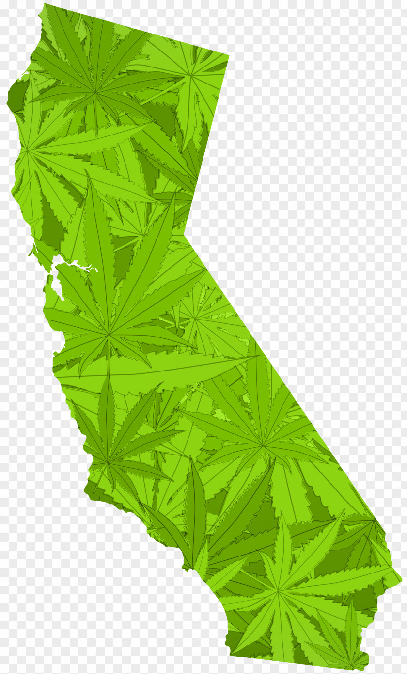 Marijuana Leaf Border California Proposition 215 Medical Cannabis Legality Of Legalization PNG