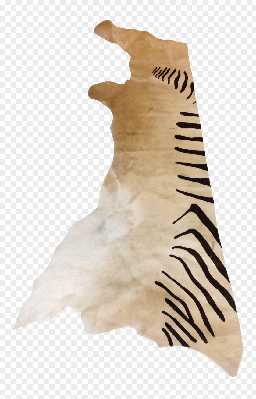 Tail Fur Neck PNG