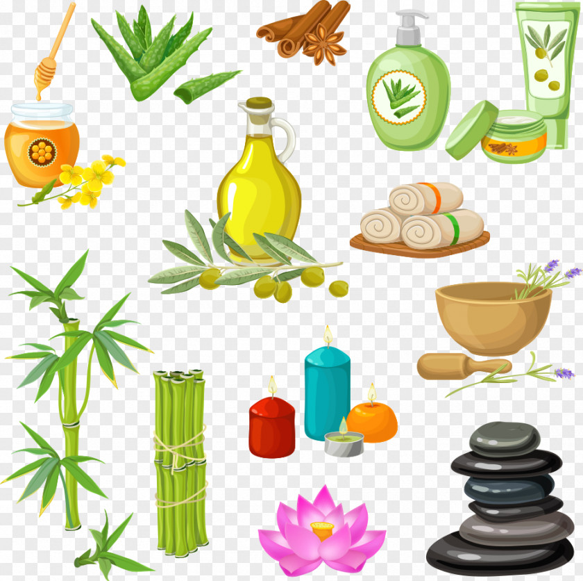 Vector Olive Oil And Stone Day Spa Massage PNG