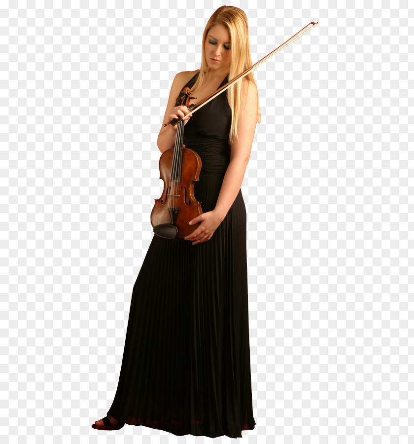 Violin Violone Cello Viola PNG