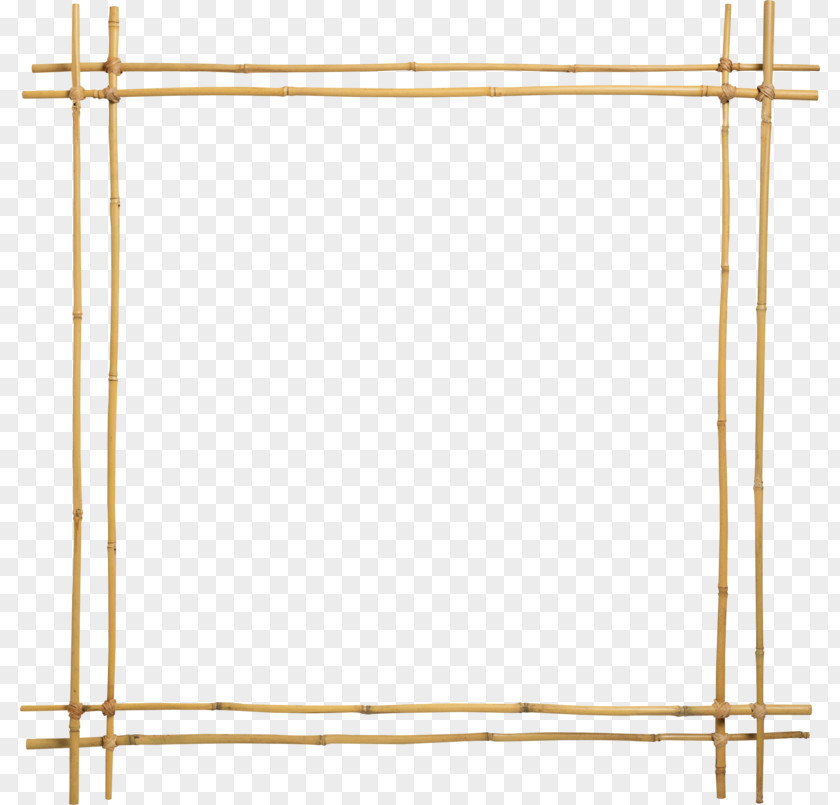 Bamboo Frame Lyme Disease Picture Frames PNG