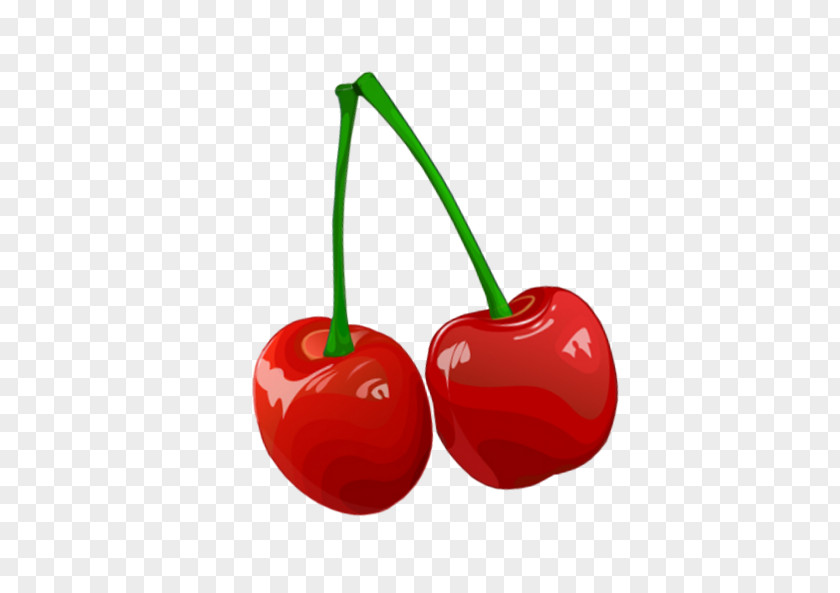 Cherry Maraschino Fruit Clip Art PNG